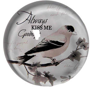 Domed Paperweight Bird Art Insert Always Kiss Me Goodnight Decor Or Craft Item